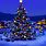 Christmas Tree Lights Snow