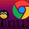 Chrome Linux