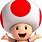 Classic Toad Mario