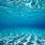 Clear Underwater Wallpaper