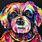Colorful Dog Portraits