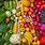 Colorful Fruits and Vegetables