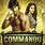 Commando 2013 Movie
