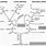 Complement System Alternative Pathway