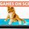 Computer Games for Cats Free