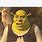 Confused Shrek