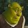 Confused Shrek Meme
