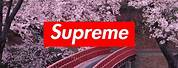 Cool Supreme Dope Wallpapers PC