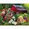Country Jigsaw Puzzles