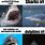 Creepy Dolphin Meme