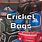 Cricket Bags Sport