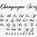 Cursive Calligraphy Script Fonts