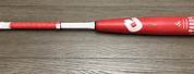 Custom Goods Baseball Bat