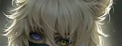 Cute Anime Boy Mask and Ears with White Hair