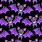Cute Bat Background