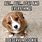 Cute Beagle Puppy Memes