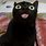 Cute Black Cat Funny