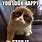 Cute Grumpy Cat Memes