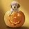 Cute Halloween Dog Wallpaper