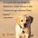 Cute Quotes About Dogs