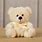 Cute Small Teddy Bear
