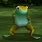 Dancing Frog Meme GIF