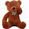Dark Brown Teddy Bear