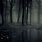 Dark Forest Wallpaper 1080P