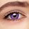 Dark Purple Eye Contacts