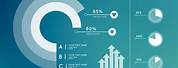 Data Chart Infographic