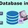 Database and SQL