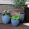 Decorative Planter Pots