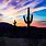 Desert Cactus Sunset Wallpaper