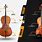 Difference Between Cello and Violin