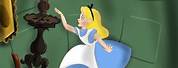 Disney Alice in Wonderland Down the Rabbit Hole