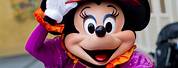 Disney World Minnie Mouse Halloween