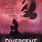 Divergent Novel
