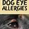 Dog Allergy Eyes