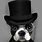 Dog with Top Hat