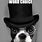Dog with Top Hat Meme