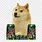 Doge Picture ID