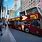 Double-Decker Bus New York City