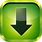 Download Manager Icon