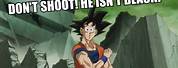 Dragon Ball Goku Black Memes
