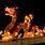 Dragon Chinese New Year Lanterns