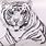Draw White Tiger