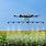 Drones for Farming