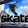 EA Skate