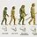 EVOLUCION De Los Humanos