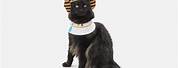 Egyptian Cat Collar Costume